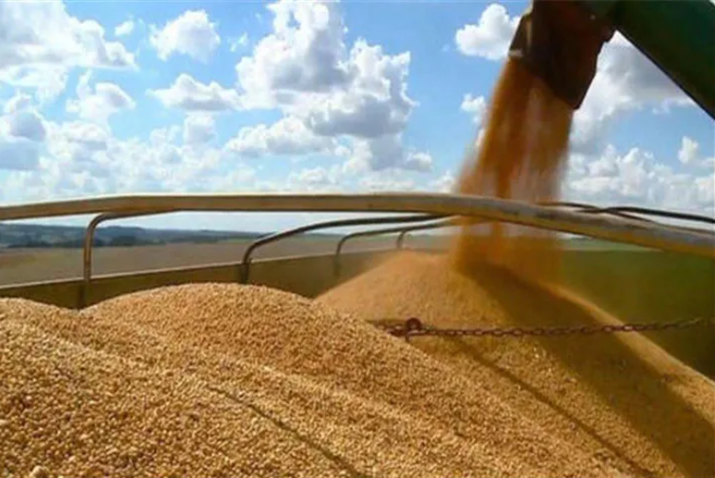 中國(guó)自美進(jìn)口農(nóng)產(chǎn)品大漲67%！豬肉增長(zhǎng)223.8%、大豆增長(zhǎng)56.3%……