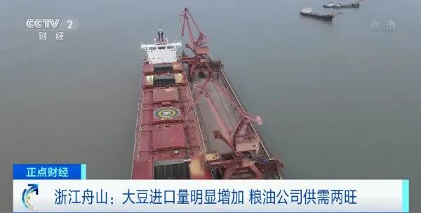 舟山大豆進口量明顯增加 糧油公司供需兩旺 