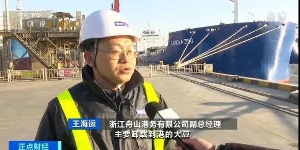 舟山大豆進口量明顯增加 糧油公司供需兩旺 