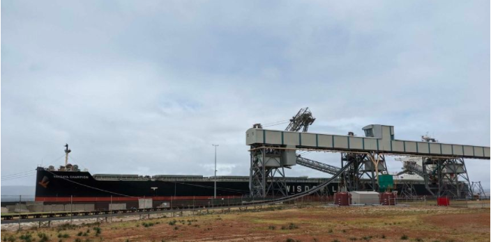船舶靠港隔離期間, 船員竟跳下海游上岸! ...觸發(fā)全城警報！