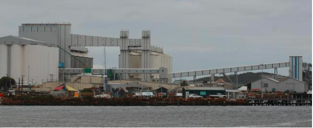 船舶靠港隔離期間, 船員竟跳下海游上岸! ...觸發(fā)全城警報！