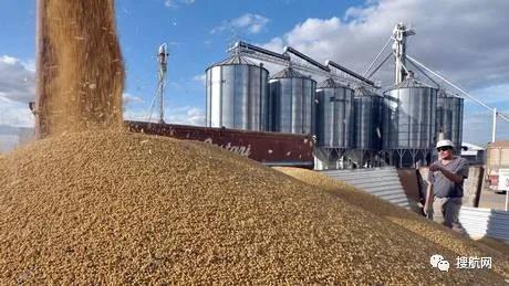 阿根廷碼頭罷工，162艘船裝運(yùn)受影響！