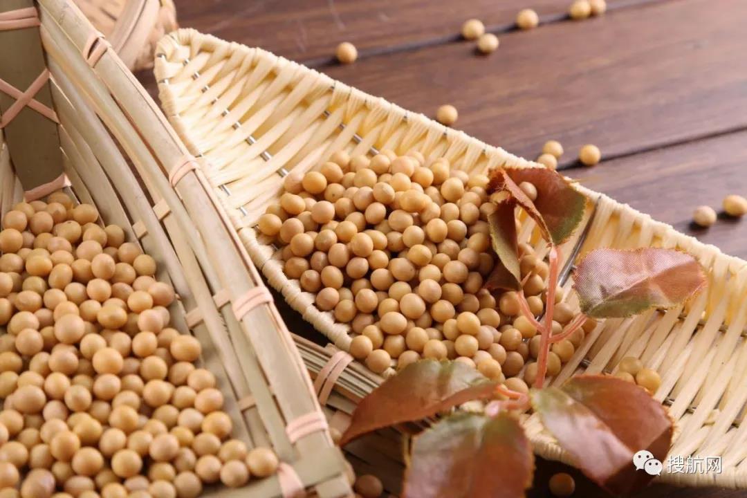 阿根廷碼頭罷工，162艘船裝運(yùn)受影響！