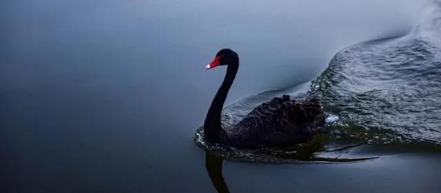 人民幣匯率升至6？渣打預(yù)測(cè)2021年8大市場(chǎng)“黑天鵝”！