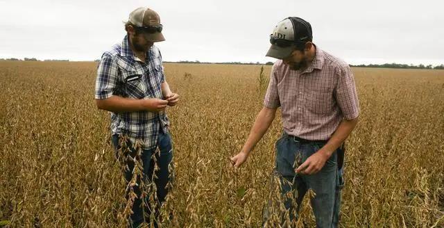 阿根廷100艘貨船禁運, 美國大豆船集體狂歡？