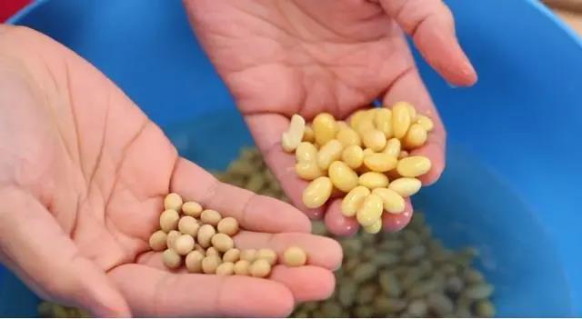 阿根廷100艘貨船禁運, 美國大豆船集體狂歡？