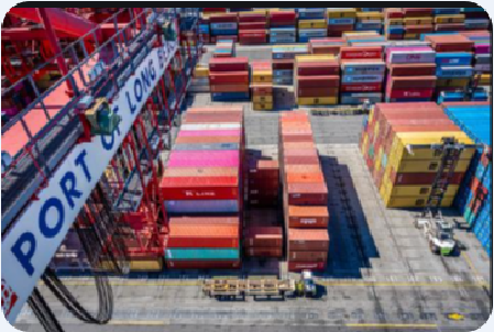 最新！美國目的港快速提還柜攻略！