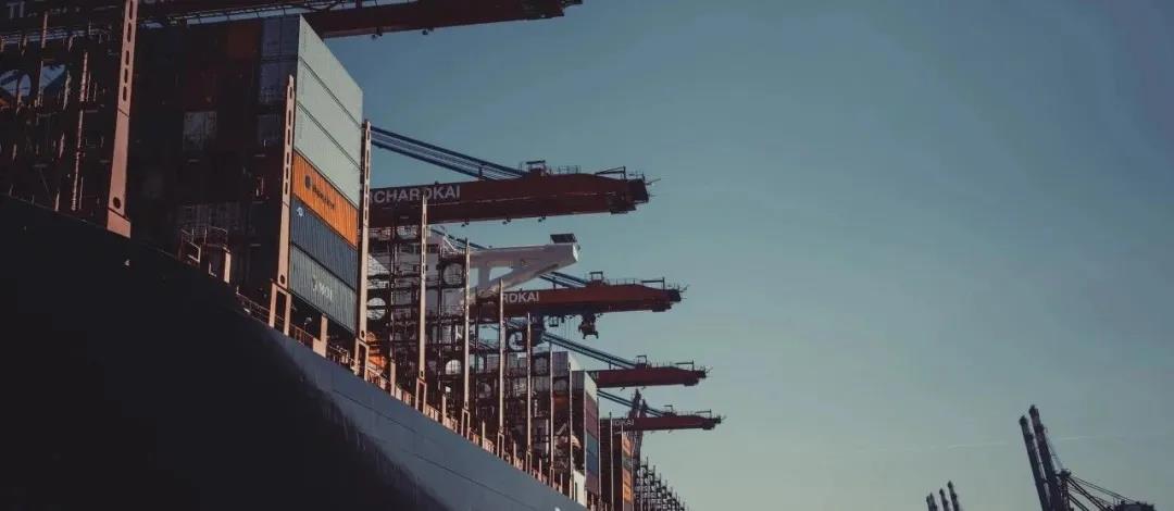 印度出口商：市場已完全瘋狂！