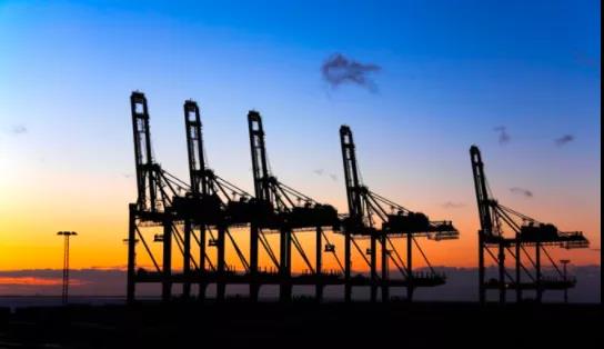 港口嚴(yán)重?fù)矶?，卡車排?duì)數(shù)公里！各大船公司取消樞紐港靠泊，港口貨運(yùn)量暴跌！