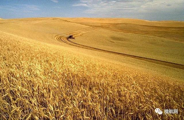 每月300箱量削減至3個(gè)，船公司暫停運(yùn)送美國(guó)農(nóng)產(chǎn)品遭FMC調(diào)查警告