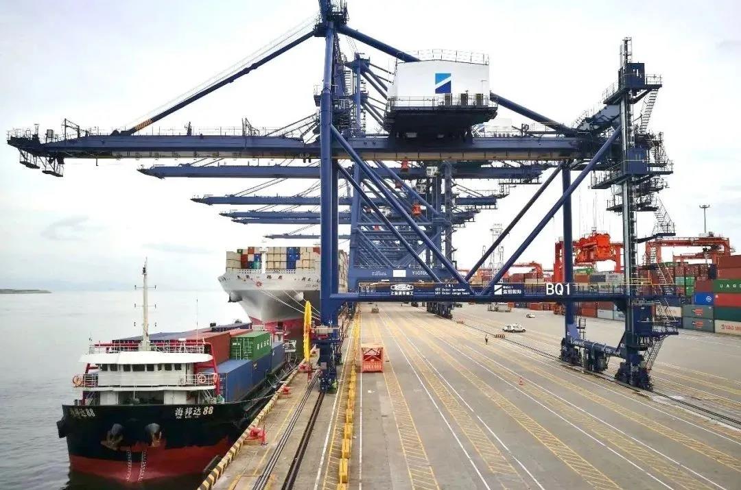 粵港航線面臨提前停航！6家行業(yè)組織緊急致函政府部門