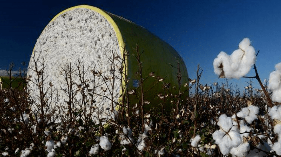 中澳貿(mào)易關(guān)系惡化！中國叫停澳洲煤炭進(jìn)口，限制澳棉配額，鐵礦石進(jìn)口明顯下降！