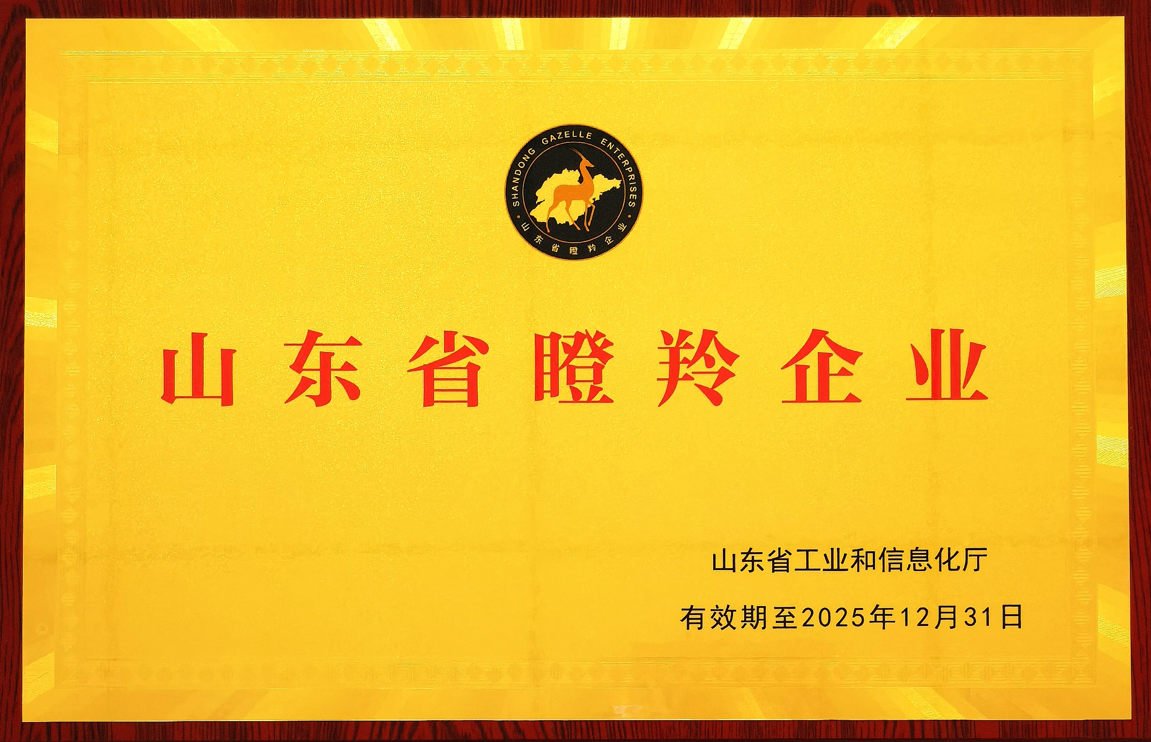微信圖片_20220629194219.jpg